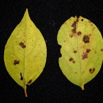 DSC05162