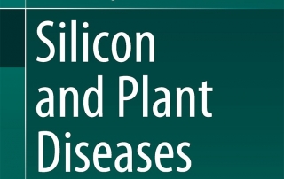 Silicon and Plant Diseases