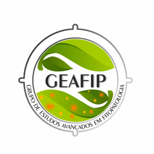 Logo nova GEAFIP