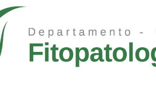 logo-dfp3
