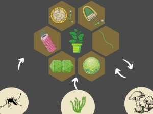 A Origem dos Vírus de Plantas (1)