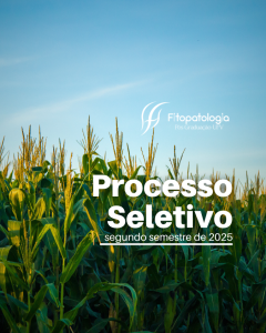 Processo Seletivo 02.2025