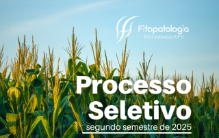 Processo Seletivo 02.2025