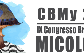 logo3