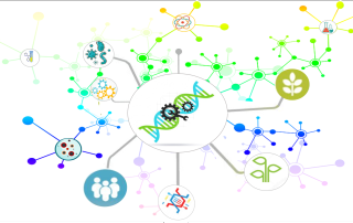 logo-Synthetic genomics-Marcia Queiroz