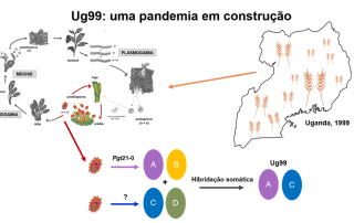 Seminário 5.1