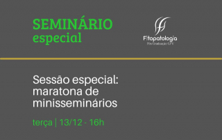 seminário especial