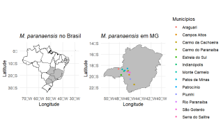 mapa2